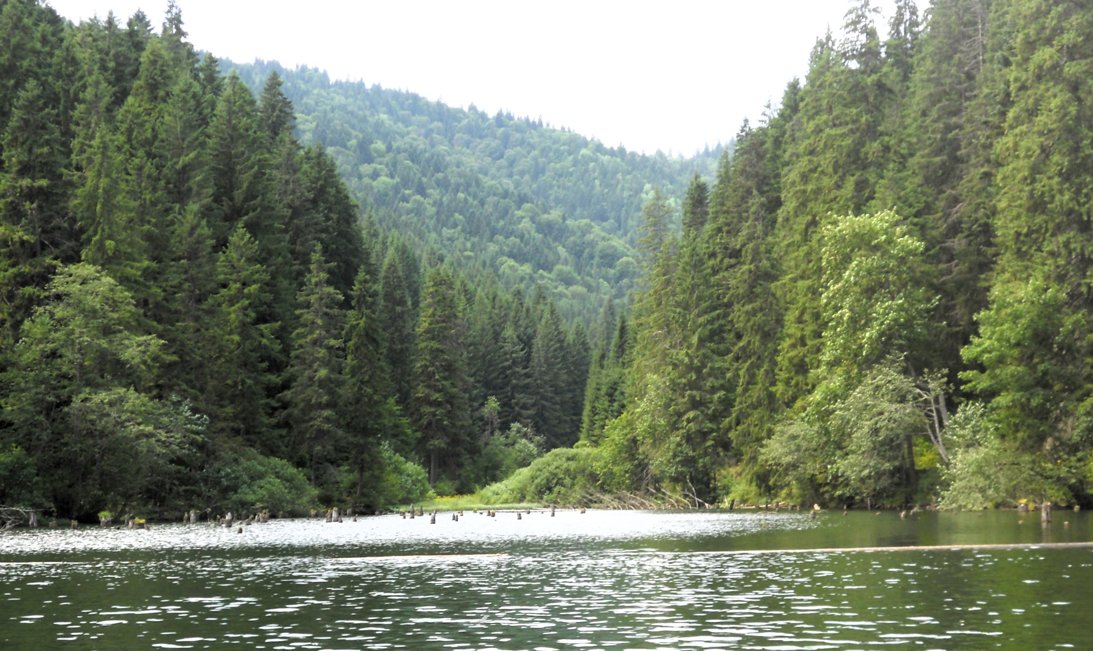 Travel thumbnail image.